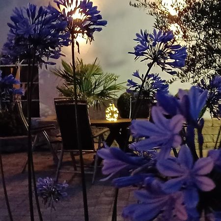 Gaestehaus Frevel Münstermaifeld Dış mekan fotoğraf