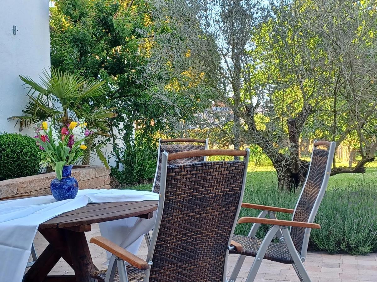 Gaestehaus Frevel Münstermaifeld Dış mekan fotoğraf
