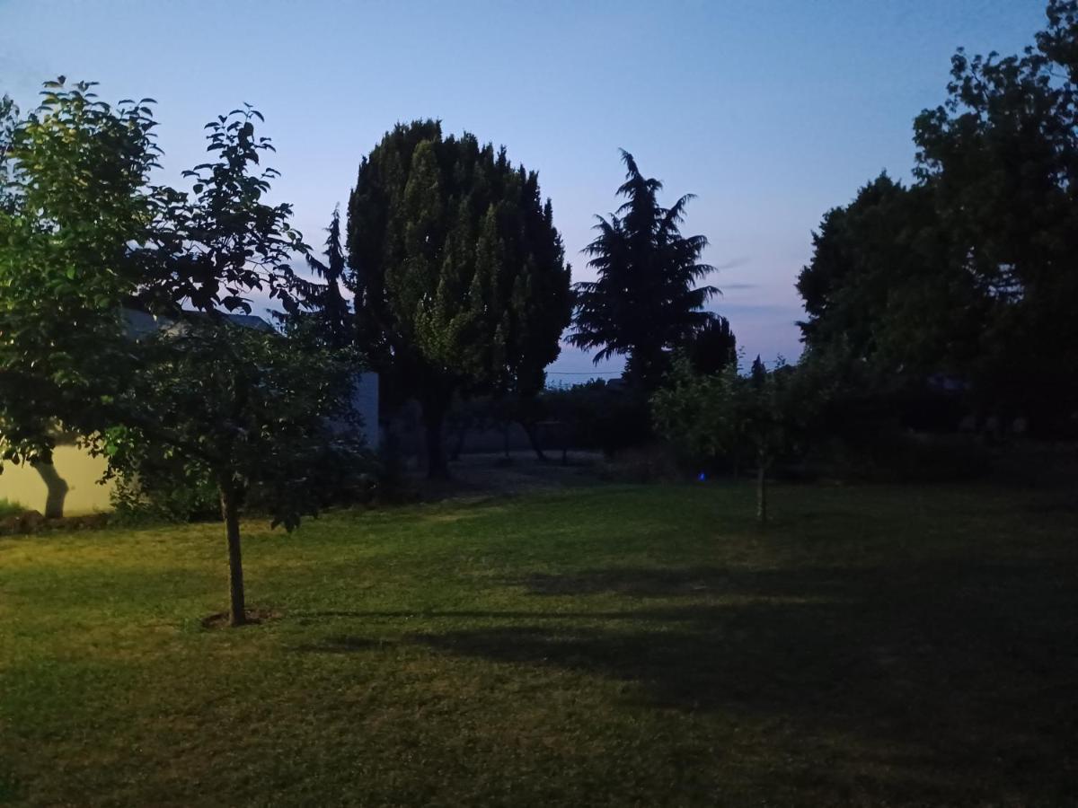 Gaestehaus Frevel Münstermaifeld Dış mekan fotoğraf