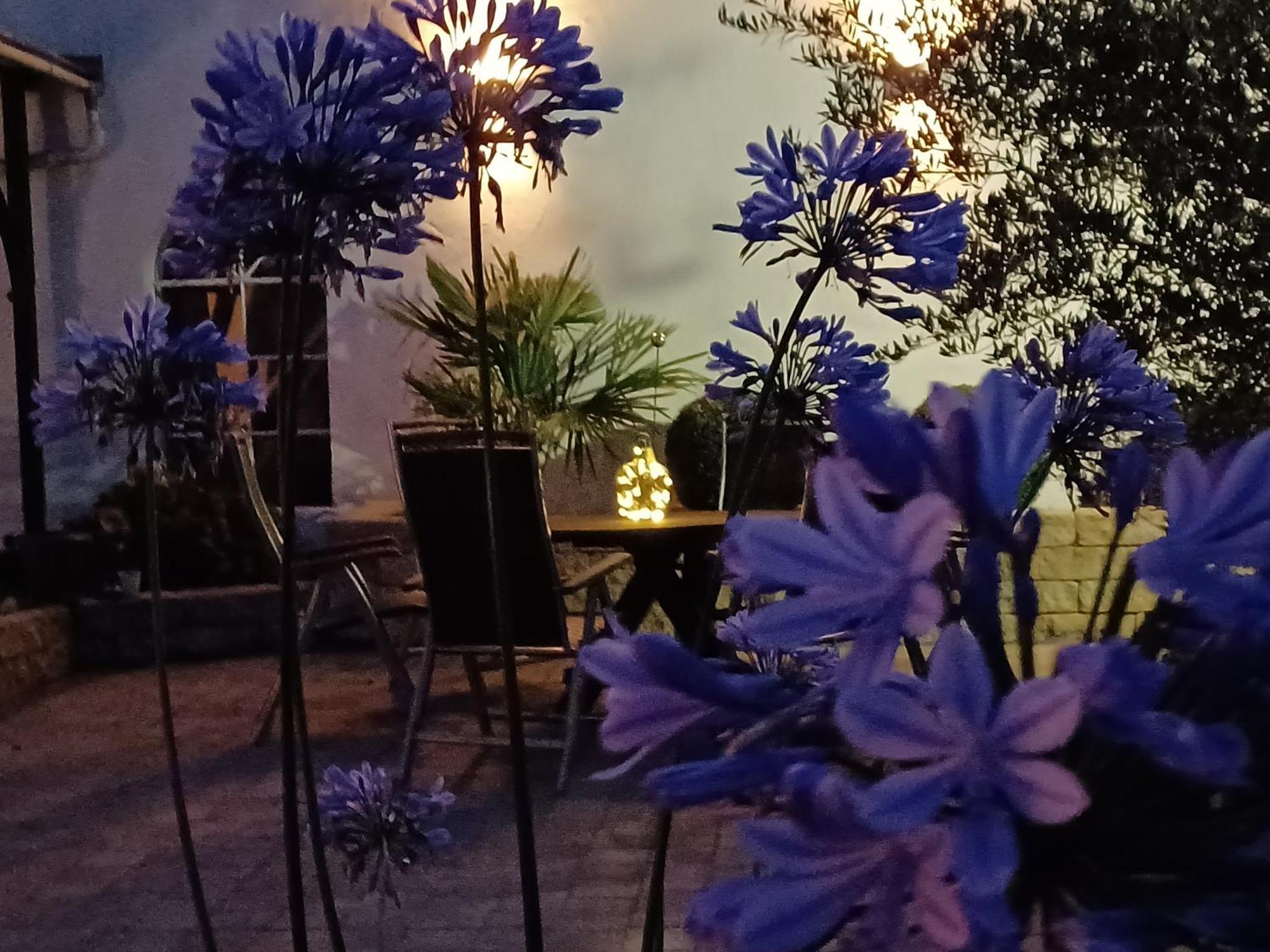 Gaestehaus Frevel Münstermaifeld Dış mekan fotoğraf